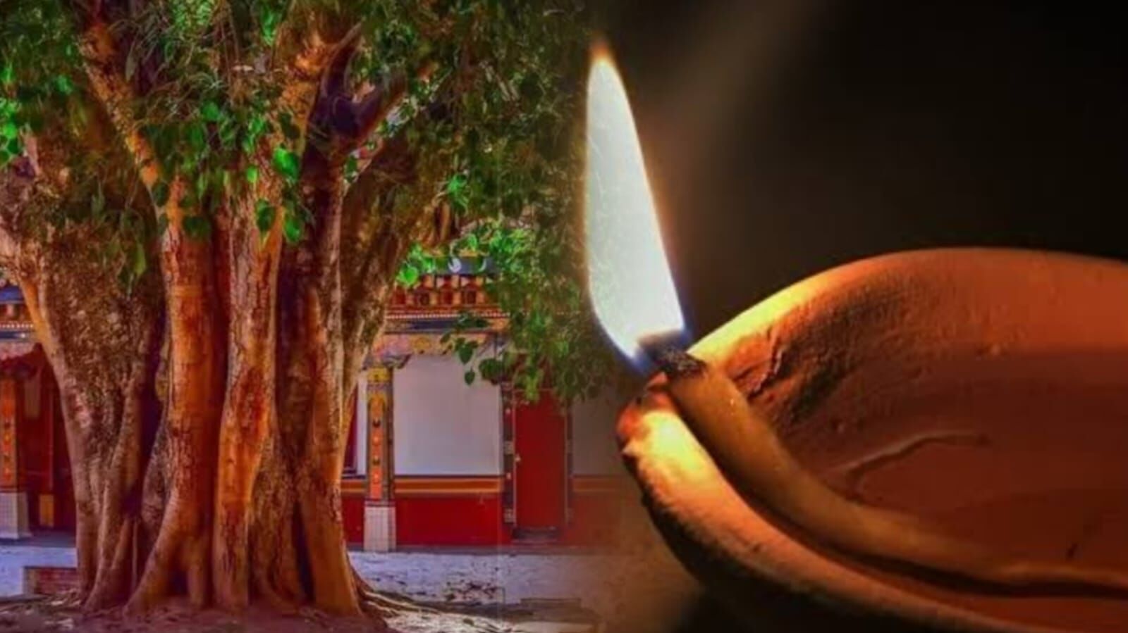 शनिवार को पीपल के नीचे दीपक जलाएं और पाएं जीवन में मानसिक शांति व स्थिर समृद्धि शनिवार को पीपल के नीचे दीपक जलाएं और पाएं जीवन में मानसिक शांति व स्थिर समृद्धि