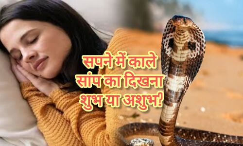 सपने में काले सांप को देखना, क्या है इसके पीछे छिपा संकेत? जानिए स्वप्न ज्योतिष का रहस्य