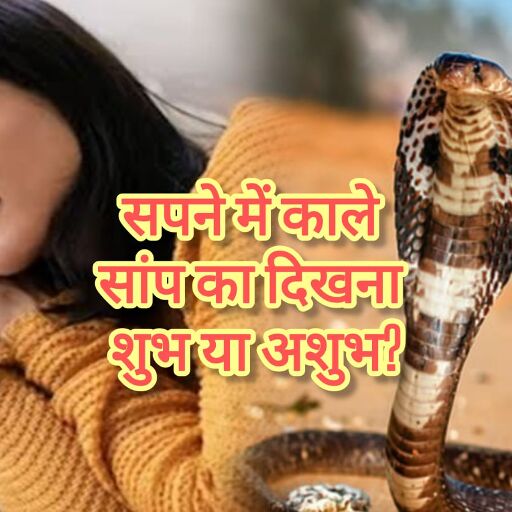 सपने में काले सांप को देखना, क्या है इसके पीछे छिपा संकेत? जानिए स्वप्न ज्योतिष का रहस्य