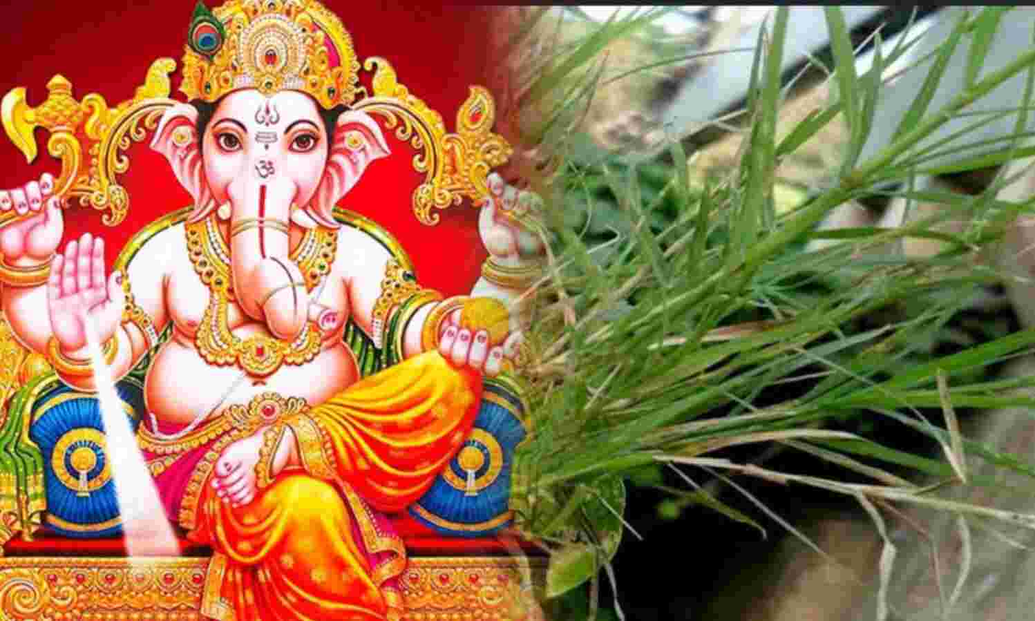 गणेश जी को दूर्वा क्यों नहीं चढ़ाते? जानिए इस प्रचलित धारणा का रहस्य और इसका आध्यात्मिक पक्ष