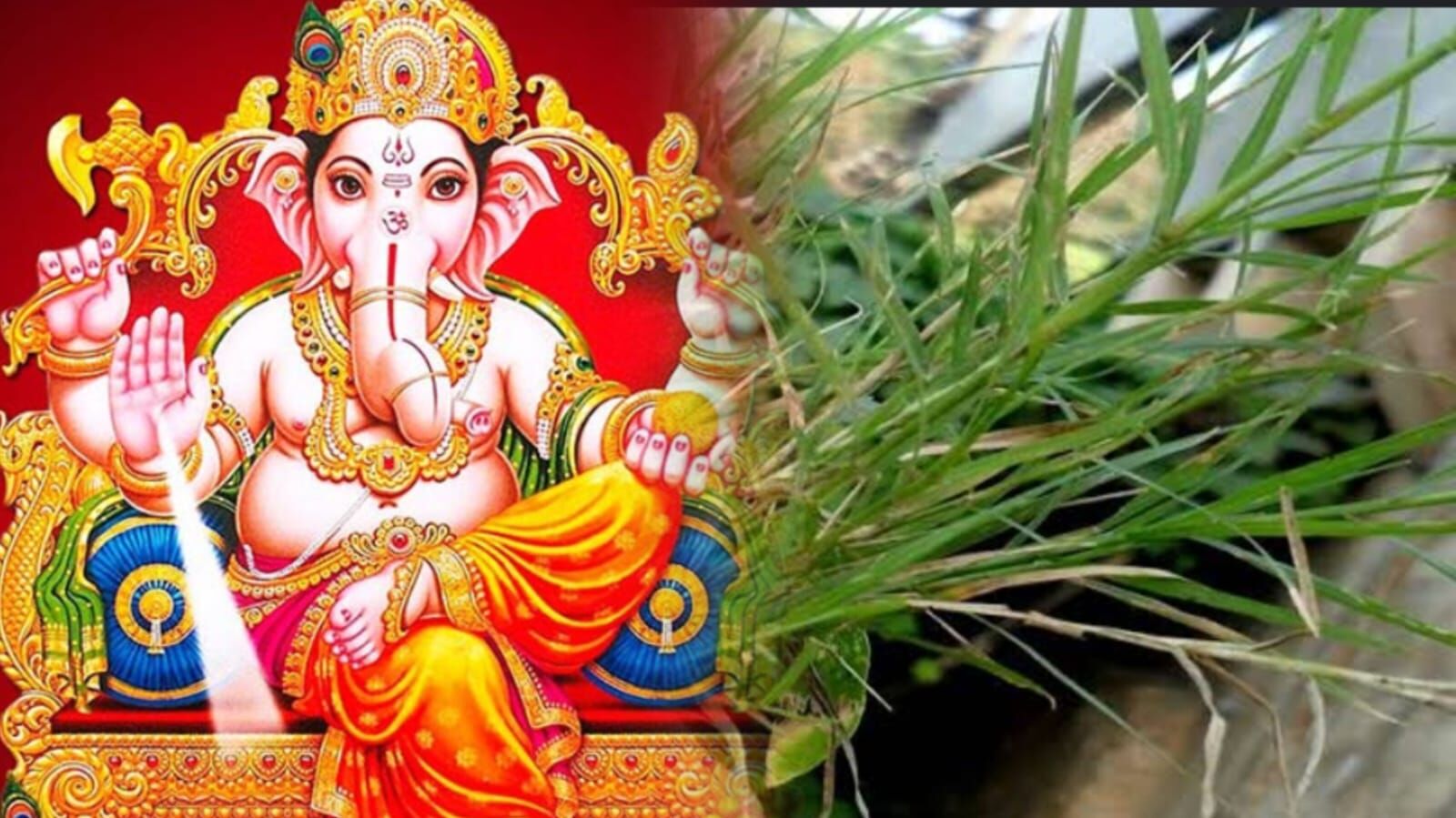 गणेश जी को दूर्वा क्यों नहीं चढ़ाते? जानिए इस प्रचलित धारणा का रहस्य और इसका आध्यात्मिक पक्ष गणेश जी को दूर्वा क्यों नहीं चढ़ाते? जानिए इस प्रचलित धारणा का रहस्य और इसका आध्यात्मिक पक्ष