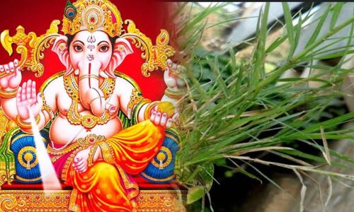 गणेश जी को दूर्वा क्यों नहीं चढ़ाते? जानिए इस प्रचलित धारणा का रहस्य और इसका आध्यात्मिक पक्ष गणेश जी को दूर्वा क्यों नहीं चढ़ाते? जानिए इस प्रचलित धारणा का रहस्य और इसका आध्यात्मिक पक्ष