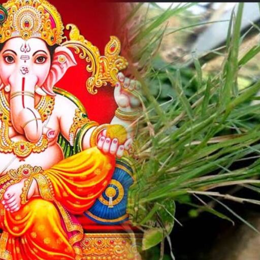 गणेश जी को दूर्वा क्यों नहीं चढ़ाते? जानिए इस प्रचलित धारणा का रहस्य और इसका आध्यात्मिक पक्ष