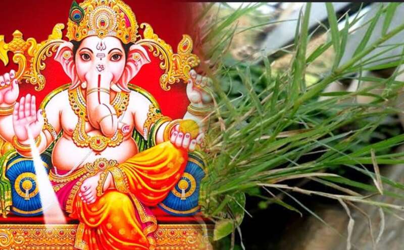 गणेश जी को दूर्वा क्यों नहीं चढ़ाते? जानिए इस प्रचलित धारणा का रहस्य और इसका आध्यात्मिक पक्ष गणेश जी को दूर्वा क्यों नहीं चढ़ाते? जानिए इस प्रचलित धारणा का रहस्य और इसका आध्यात्मिक पक्ष