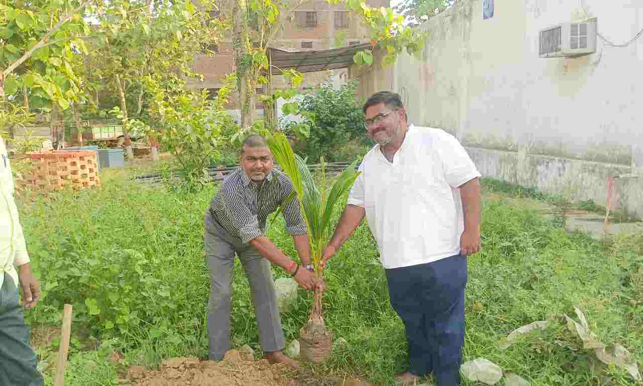 विश्व पर्यावरण दिवस पर सनशाइन पब्लिक स्कूल में स्व. अरविंद तिवारी की स्मृति में लगाए गए 11 पौधे