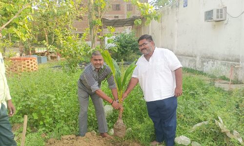 विश्व पर्यावरण दिवस पर सनशाइन पब्लिक स्कूल में स्व. अरविंद तिवारी की स्मृति में लगाए गए 11 पौधे विश्व पर्यावरण दिवस पर सनशाइन पब्लिक स्कूल में स्व. अरविंद तिवारी की स्मृति में लगाए गए 11 पौधे