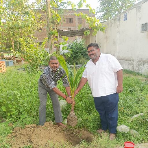 विश्व पर्यावरण दिवस पर सनशाइन पब्लिक स्कूल में स्व. अरविंद तिवारी की स्मृति में लगाए गए 11 पौधे