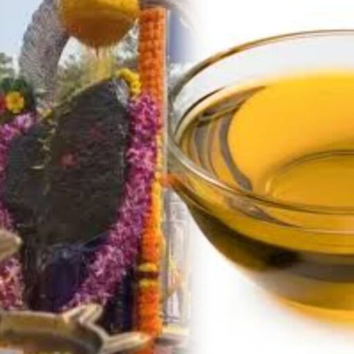 शनिवार को शनि देव के चरणों में क्यों चढ़ाया जाता है तेल? जानें धार्मिक महत्व और इसके पीछे की मान्यता शनिवार को शनि देव के चरणों में क्यों चढ़ाया जाता है तेल? जानें धार्मिक महत्व और इसके पीछे की मान्यता