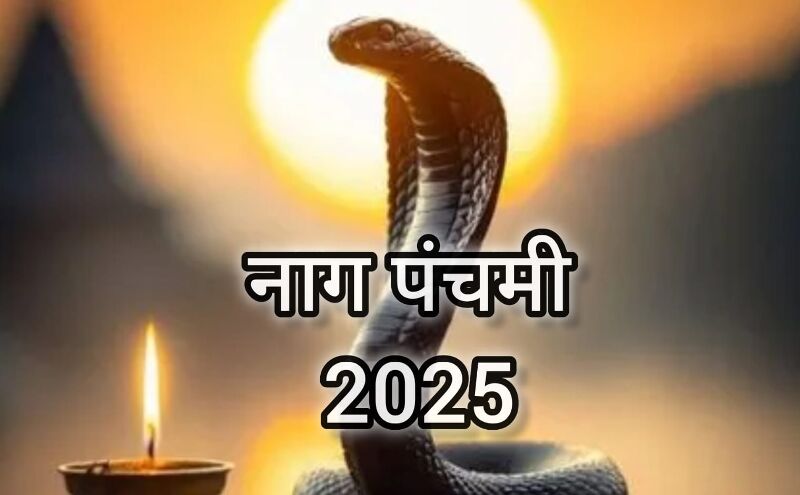 29 जुलाई 2025 को मनाई जाएगी नाग पंचमी, जानें इस पर्व का पौराणिक महत्व और पूजा की सही विधि 29 जुलाई 2025 को मनाई जाएगी नाग पंचमी, जानें इस पर्व का पौराणिक महत्व और पूजा की सही विधि