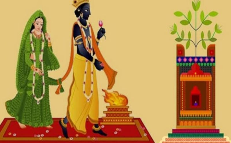तुलसी विवाह 2025: भगवान विष्णु और तुलसी माता के पावन मिलन का पर्व, जानें महत्व, कथा और शुभ फल तुलसी विवाह 2025: भगवान विष्णु और तुलसी माता के पावन मिलन का पर्व, जानें महत्व, कथा और शुभ फल