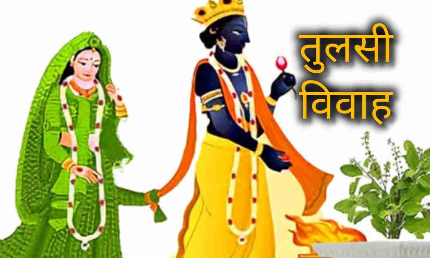 तुलसी विवाह 2025 में कब है? जानिए तारीख, पूजा का शुभ मुहूर्त और धार्मिक महत्व तुलसी विवाह 2025 में कब है? जानिए तारीख, पूजा का शुभ मुहूर्त और धार्मिक महत्व