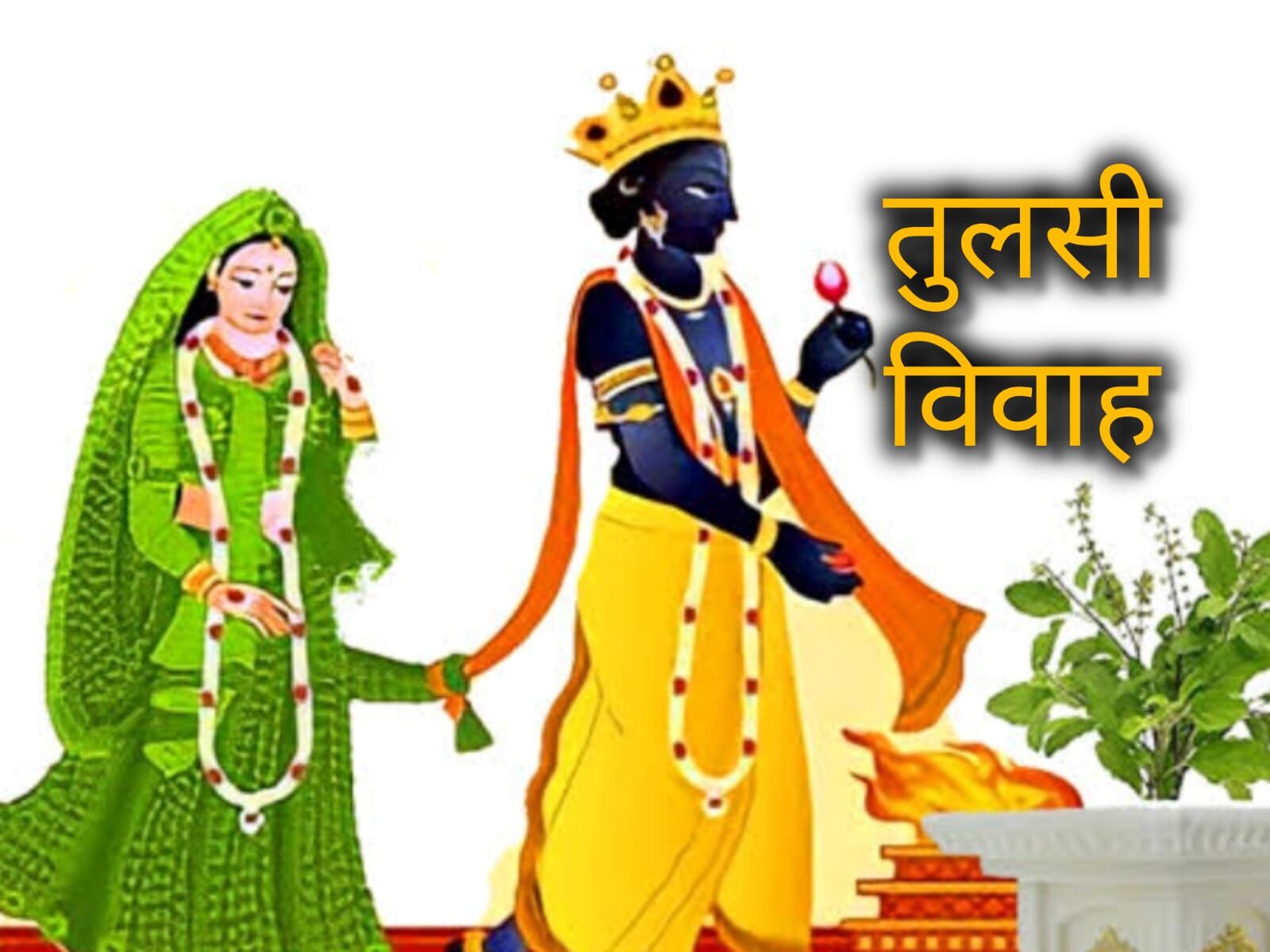 तुलसी विवाह 2025 में कब है? जानिए तारीख, पूजा का शुभ मुहूर्त और धार्मिक महत्व तुलसी विवाह 2025 में कब है? जानिए तारीख, पूजा का शुभ मुहूर्त और धार्मिक महत्व