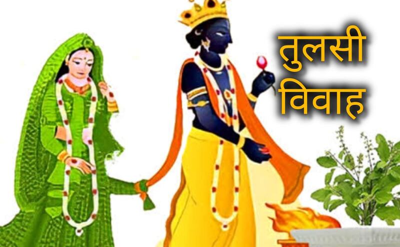 तुलसी विवाह 2025 में कब है? जानिए तारीख, पूजा का शुभ मुहूर्त और धार्मिक महत्व तुलसी विवाह 2025 में कब है? जानिए तारीख, पूजा का शुभ मुहूर्त और धार्मिक महत्व