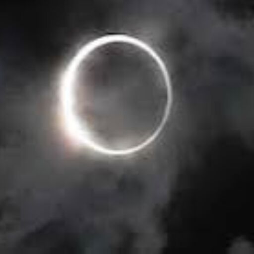 मार्गशीर्ष अमावस्या 2025: 20 नवंबर को मनाई जाएगी पितृ पूजन और स्नान-दान की अमावस्या, जानें शुभ मुहूर्त और धार्मिक महत्व मार्गशीर्ष अमावस्या 2025: 20 नवंबर को मनाई जाएगी पितृ पूजन और स्नान-दान की अमावस्या, जानें शुभ मुहूर्त और धार्मिक महत्व