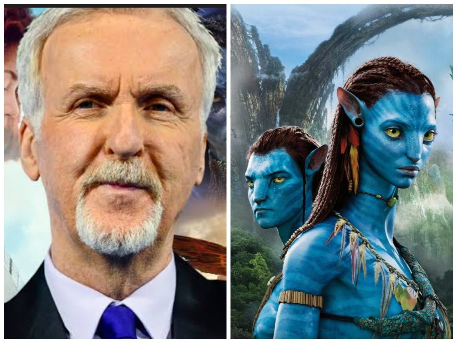 काशी के घाट पर प्रदर्शित हुआ ‘अवतार: फायर एंड ऐश’ का शानदार हिंदी पोस्टर, 19 दिसंबर को बड़े पर्दे पर धमाकेदार रिलीज काशी के घाट पर प्रदर्शित हुआ ‘अवतार: फायर एंड ऐश’ का शानदार हिंदी पोस्टर, 19 दिसंबर को बड़े पर्दे पर धमाकेदार रिलीज