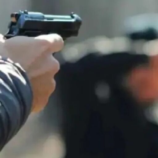 लक्सर में दिनदहाड़े हमला: पेशी पर ले जाए जा रहे कुख्यात बदमाश विनय त्यागी पर ताबड़तोड़ फायरिंग, दो पुलिसकर्मी घायल