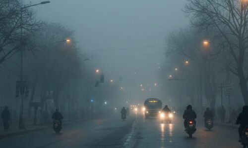 झारखंड में ठंड का जोर तेज: रांची समेत कई जिलों में शीतलहर का अलर्ट, आसपास के इलाकों में दिनभर कांपाती रही सर्दी झारखंड में ठंड का जोर तेज: रांची समेत कई जिलों में शीतलहर का अलर्ट, आसपास के इलाकों में दिनभर कांपाती रही सर्दी