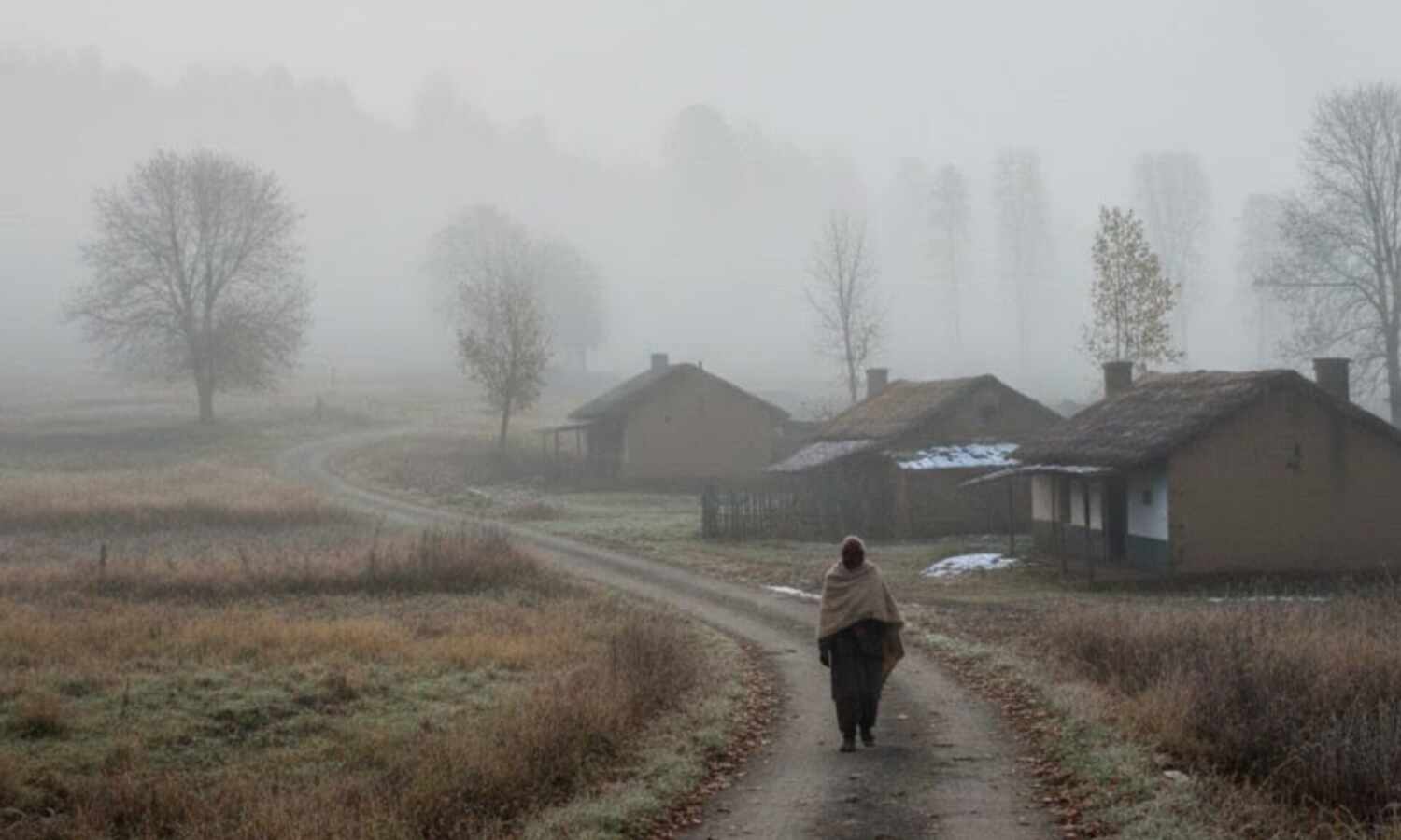 झारखंड में घने कोहरे का अलर्ट: आईएमडी ने कई जिलों के लिए येलो अलर्ट जारी किया, ठंड और बढ़ने के आसार