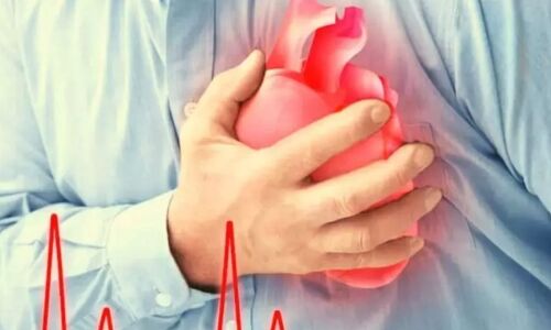 हैदराबाद में कर्तव्यनिष्ठा की मिसाल: दिल का दौरा पड़ने के बावजूद ड्राइवर ने बचाईं 18 जिंदगियां, अस्पताल ले जाते समय मौत हैदराबाद में कर्तव्यनिष्ठा की मिसाल: दिल का दौरा पड़ने के बावजूद ड्राइवर ने बचाईं 18 जिंदगियां, अस्पताल ले जाते समय मौत