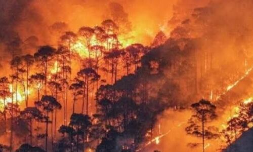 चमोली के जंगलों में भीषण आग का कहर: 20 हेक्टेयर वन क्षेत्र जलकर राख, गांवों तक पहुंचीं लपटें