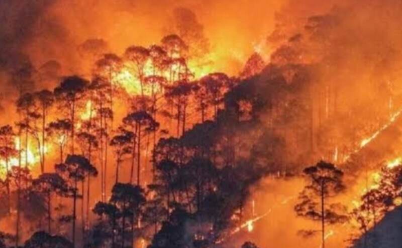 चमोली के जंगलों में भीषण आग का कहर: 20 हेक्टेयर वन क्षेत्र जलकर राख, गांवों तक पहुंचीं लपटें
