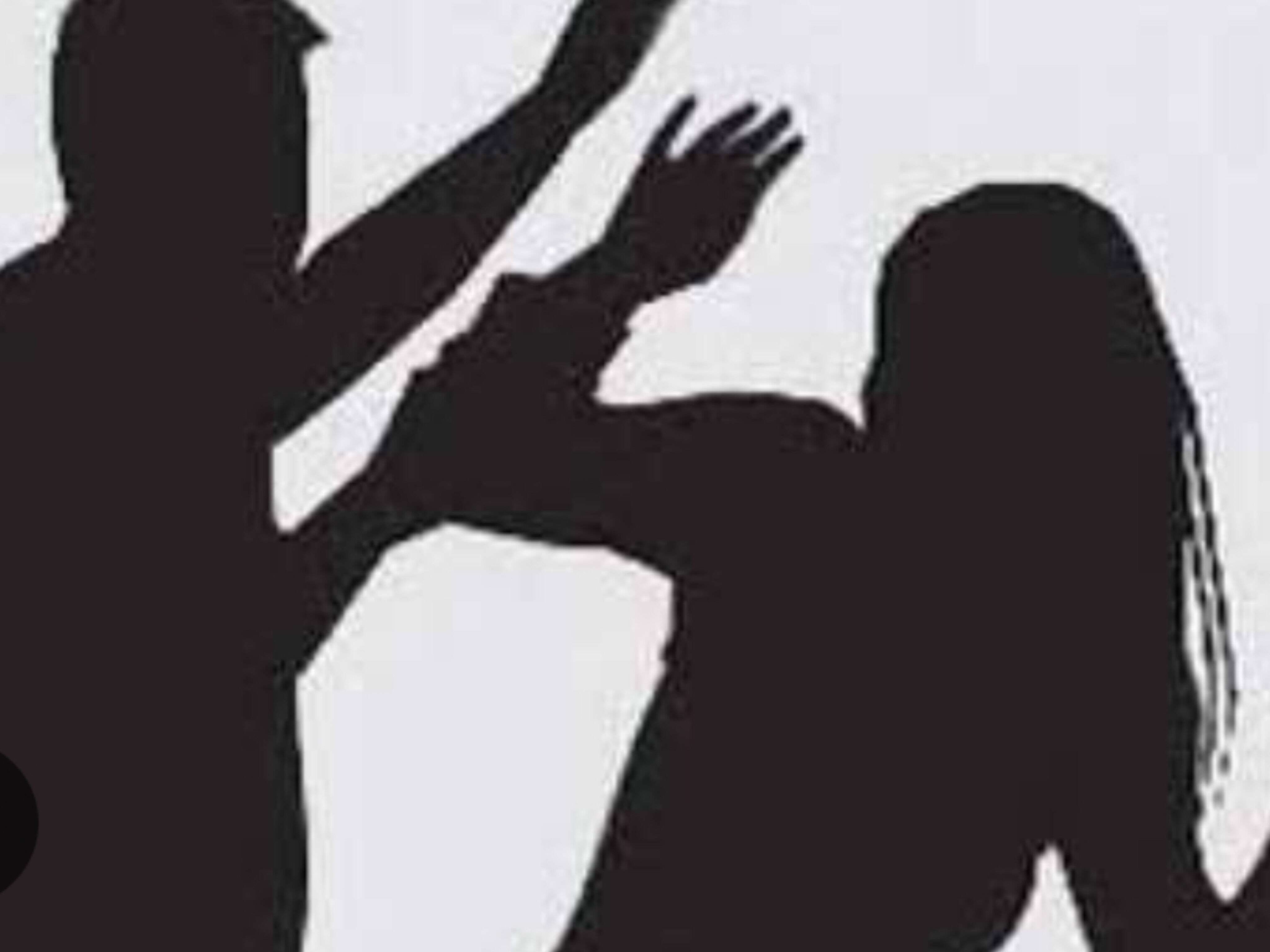 दिल्ली के साकेत पार्क में मणिपुर की युवती से बदसलूकी, विरोध करने पर मारपीट का आरोप दिल्ली के साकेत पार्क में मणिपुर की युवती से बदसलूकी, विरोध करने पर मारपीट का आरोप