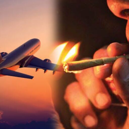 दिल्ली-गोवा उड़ान में यात्री ने शौचालय में पी बीड़ी, अकासा एयर की फ्लाइट में हड़कंप; पुलिस ने दर्ज किया मामला