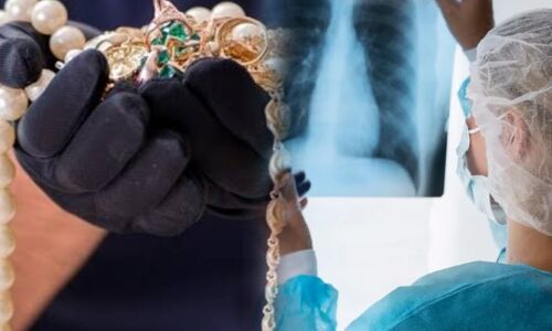 बरेली में अपराधी की एक अजीबोगरीब जिद ने पुलिस को डाला हैरत में, सबूत छिपाने के लिए पार की सारी हदें बरेली में अपराधी की एक अजीबोगरीब जिद ने पुलिस को डाला हैरत में, सबूत छिपाने के लिए पार की सारी हदें