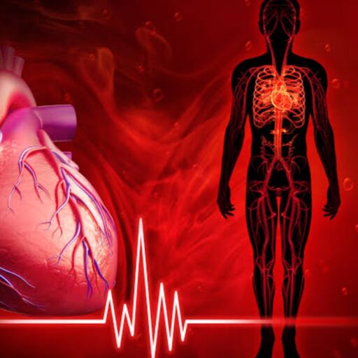 देश के दिग्गज अस्पताल में हुआ करिश्मा, क्या शरीर के अंगों की उल्टी दिशा बन सकती थी जान की दुश्मन? देश के दिग्गज अस्पताल में हुआ करिश्मा, क्या शरीर के अंगों की उल्टी दिशा बन सकती थी जान की दुश्मन?