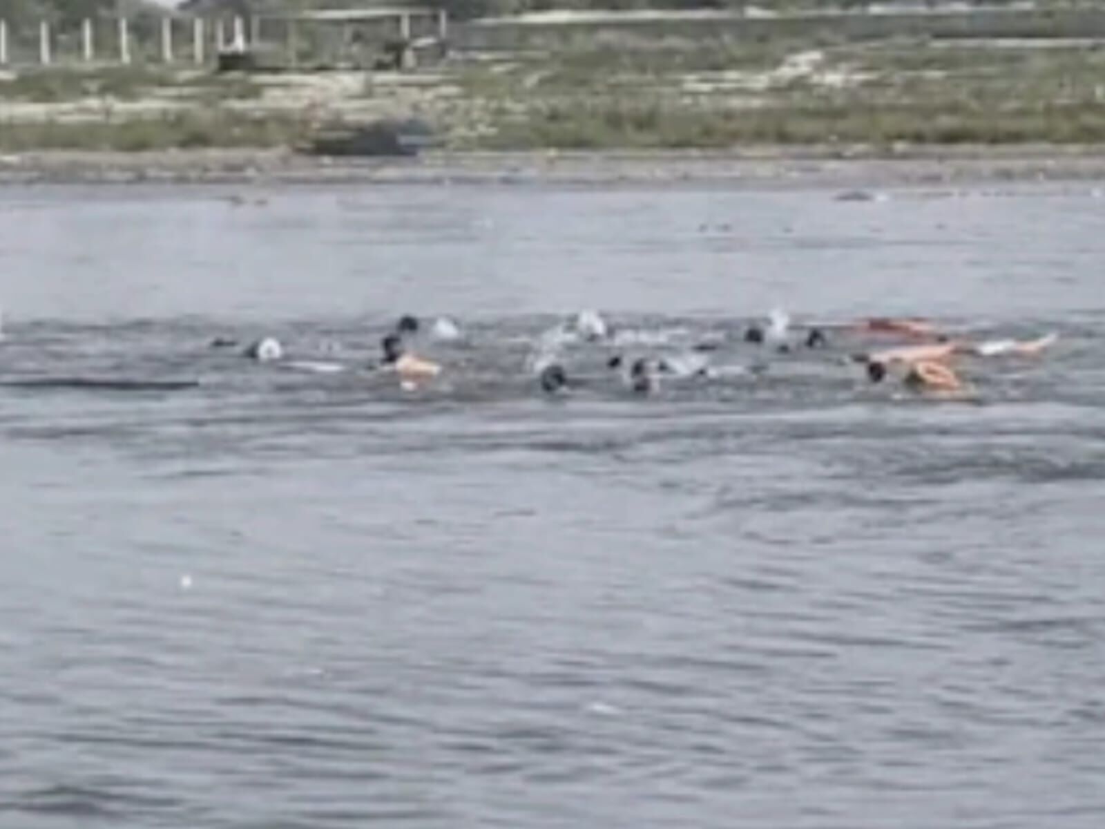 वृंदावन में श्रृंगार घाट के पास क्यों थम गई श्रद्धालुओं की सांसें? यमुना की लहरों के बीच उस भयानक टक्कर की पूरी कहानी वृंदावन में श्रृंगार घाट के पास क्यों थम गई श्रद्धालुओं की सांसें? यमुना की लहरों के बीच उस भयानक टक्कर की पूरी कहानी