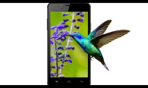 Jio ऑफर के साथ Intex का नया स्मार्टफोन लॉन्च, कीमत 5,499 रुपये