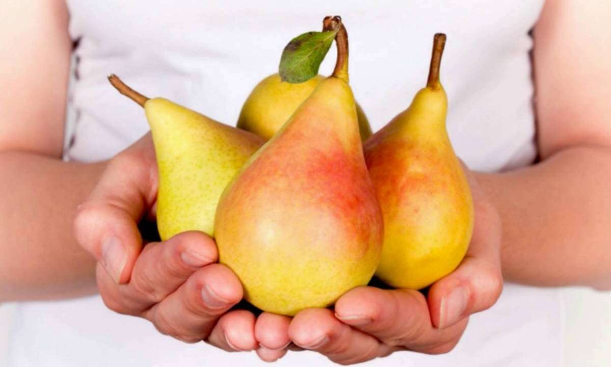 खून की कमी को दूर करती है नाशपाती