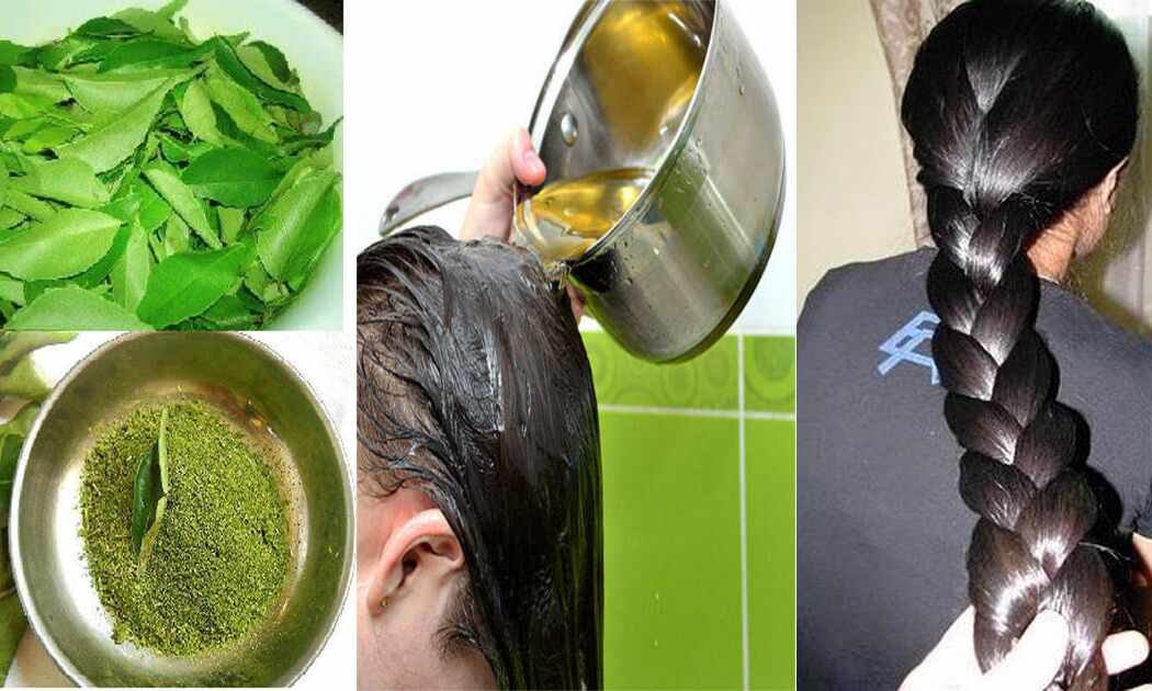 बालों को लंबा घना और काला बनाता है करी पत्ता