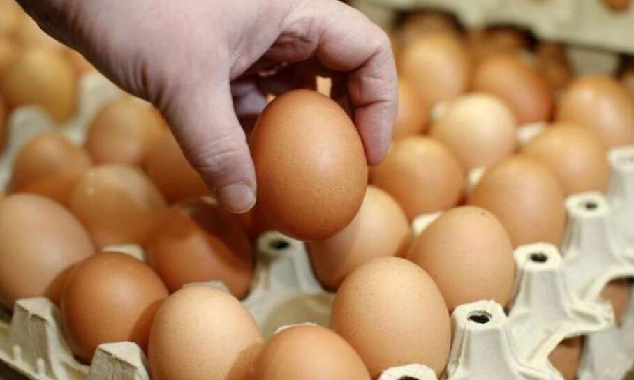 OMG: बाजार में आया आयुर्वेदिक अंडा, फायदे जानकर हैरान हो जायेंगे आप