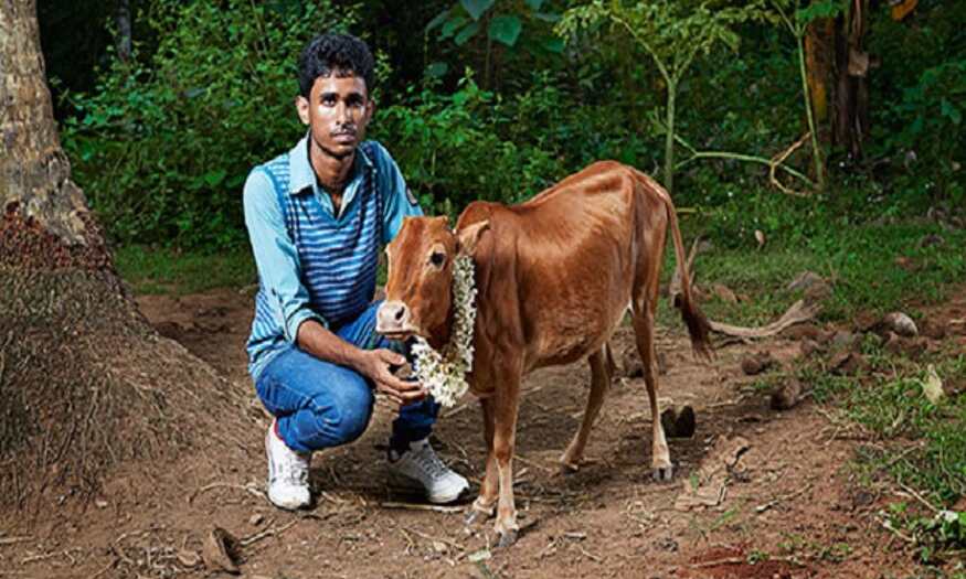 ये है दुनिया की सबसे अनोखी गाय, गिनीज बुक में दर्ज हो चुका है नाम