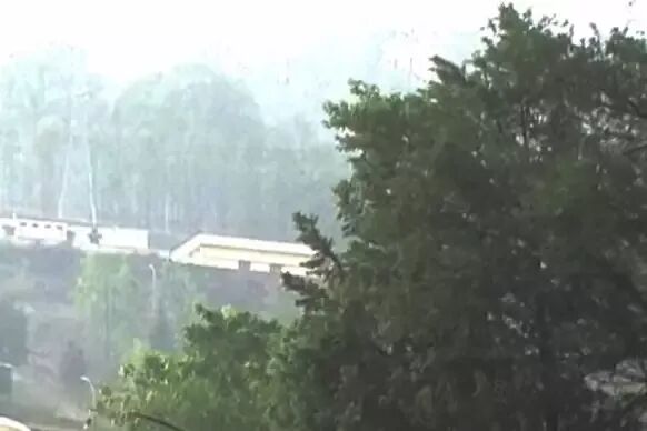उत्तराखंड में बदला मौसम का मिजाज, कुमाऊं में बारिश से बुझी जंगलों में आग