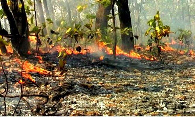 उत्तराखंड: गढ़वाल और कुमाऊं के जंगलों में आग लगने से मचा हाहाकार, कई हेक्टर वन संपदा खाक