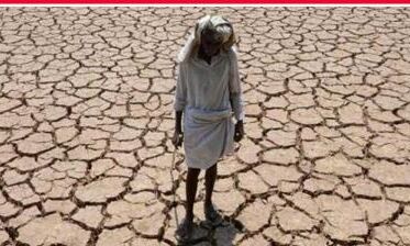 इस साल अब तक मात्र 32.9 मिलीमीटर बारिश ही हुई: बिहार