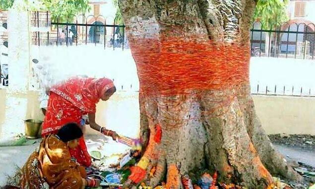 पति की लंबी उम्र के लिए व्रत और भीगे हुए चने से क्या संंबंध है जानिए...