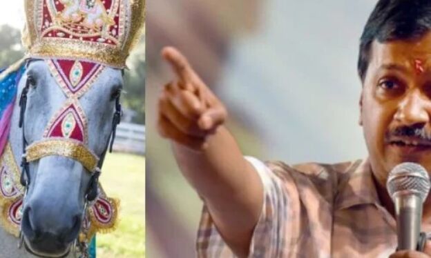 केजरीवाल सरकार ने लगाई दूल्हों के घोड़ी चढ़ने पर रोक, ये रही वजह