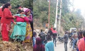 जंगल में बाघिन को देख पेड़ पर चढ़ा युवक, बीवी ने भागकर बचाई जान
