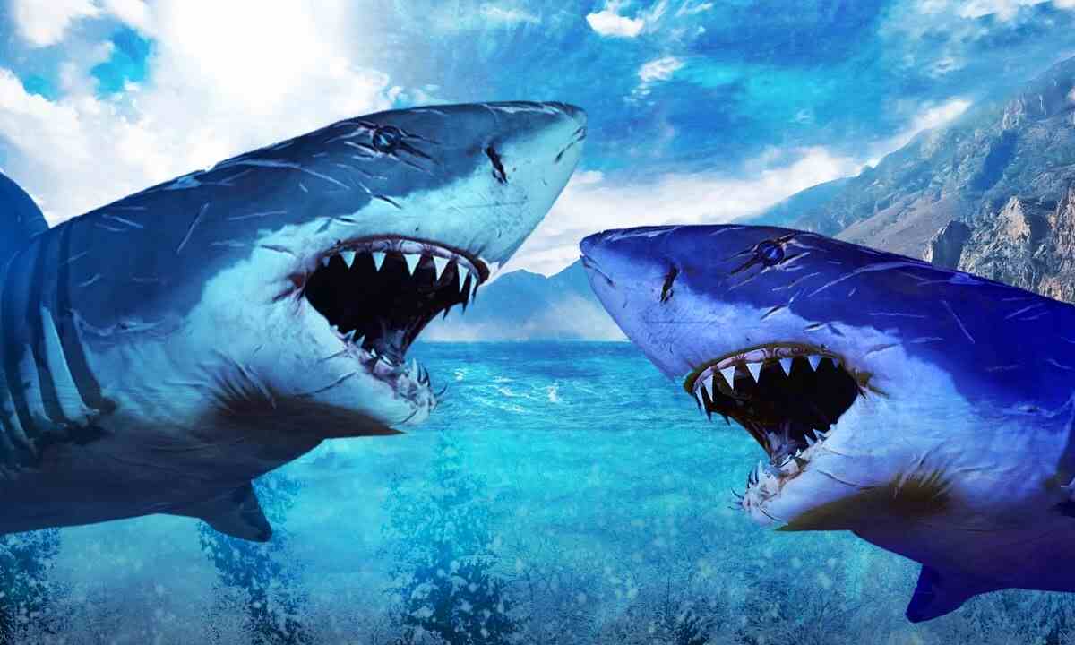 आखिर क्‍यों 10 मिनट तक एक शॉर्क, मछुआरे की नाव को धक्‍का देती रही