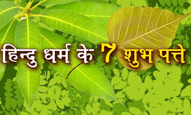 शास्त्रों के अनुसार ये सात पत्ते होते हैं बेहद शुभफलदायी, बना सकते हैं रंक को भी राजा