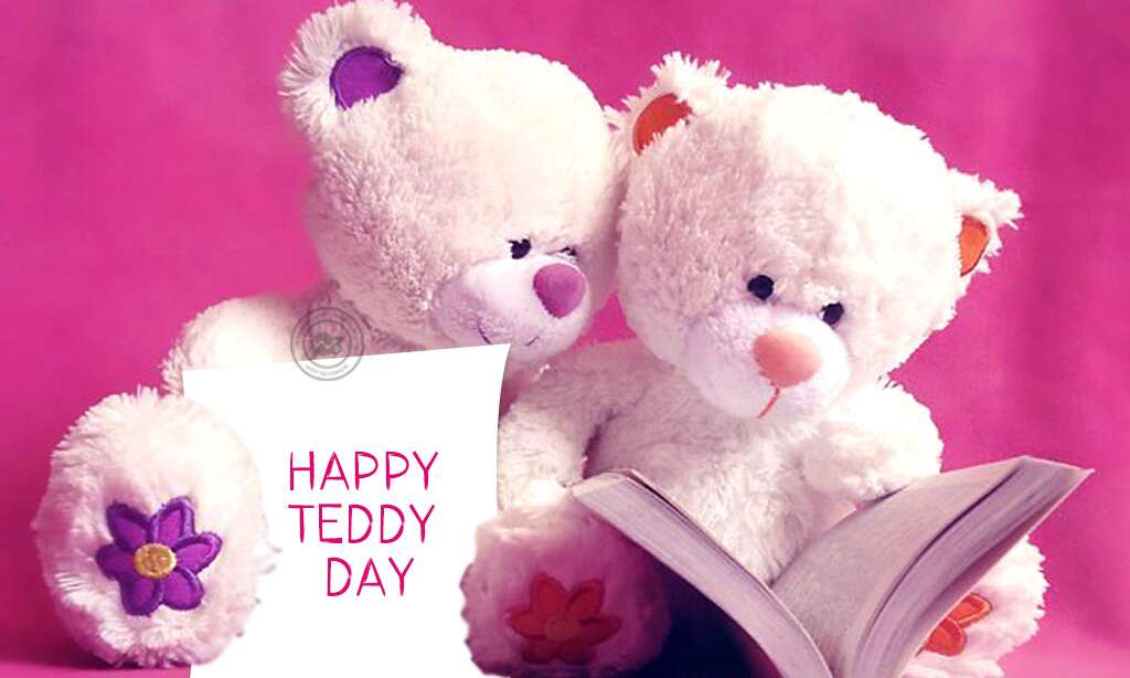 Teddy Day Quotes: गर्लफ्रेंड को ये मजेदार SMS और शायरी भेजकर विश करना ना भूलें
