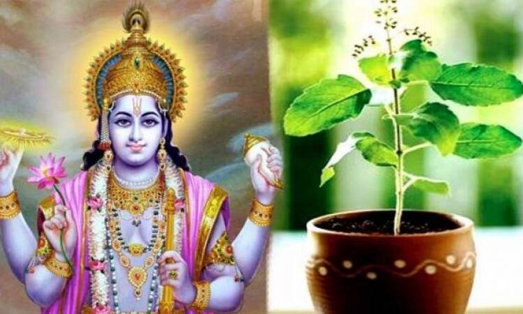 देवउठनी एकादशी पर जरूर गाये माँ तुलसी की यह आरती