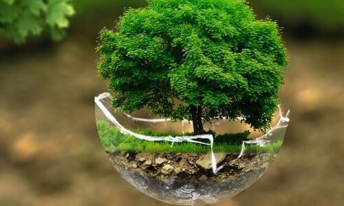 12वीं के बाद पर्यावरण में ऐसे बनाएं करियर, कमाएं मोटी सैलरी