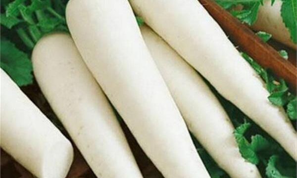 लिवर और पेट को डिटॉक्स करती है मूली