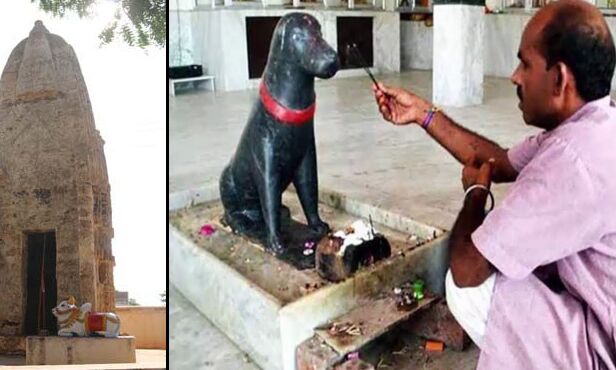भारत का ऐसा अनोखा मंदिर जहाँ राम जी या हनुमान जी की नहीं बल्कि होती है कुत्तों की पूजा, जानें