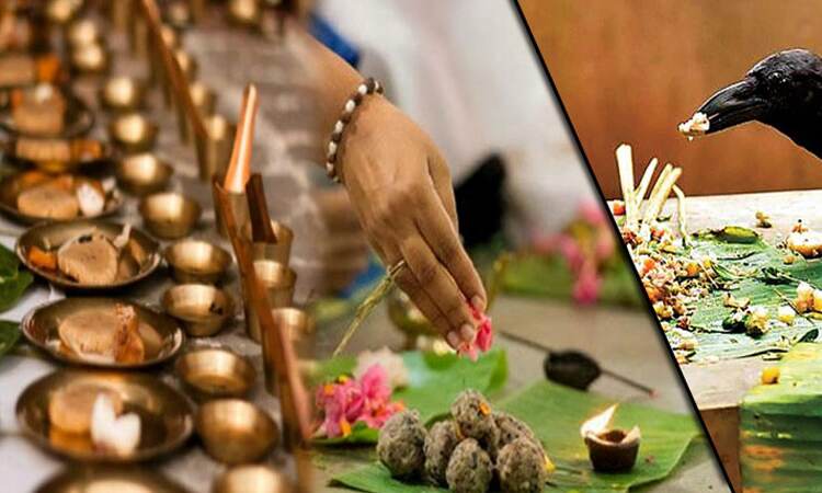 जानिए, श्राद्ध और कौए का आखिर क्या है Connection