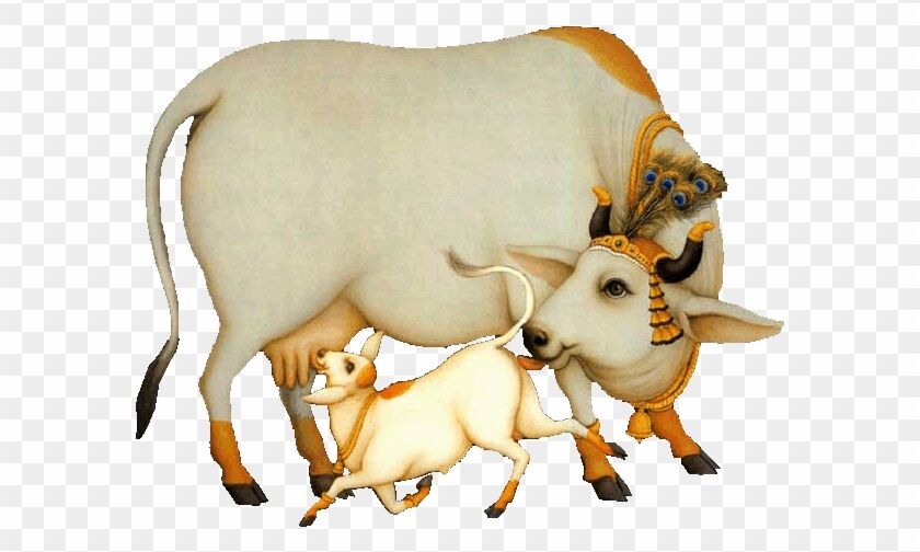 गौ माता का वैज्ञानिक महत्व